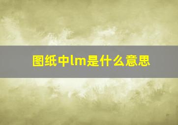 图纸中lm是什么意思