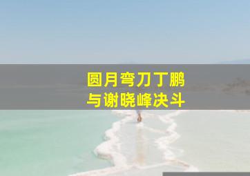 圆月弯刀丁鹏与谢晓峰决斗