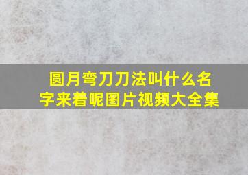 圆月弯刀刀法叫什么名字来着呢图片视频大全集