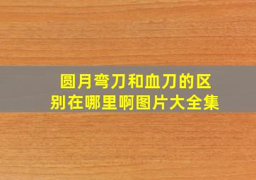 圆月弯刀和血刀的区别在哪里啊图片大全集