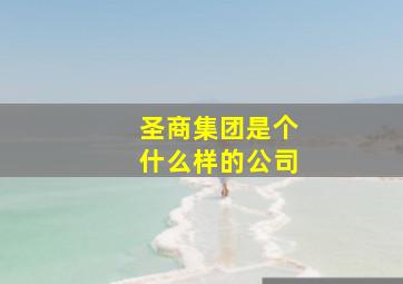 圣商集团是个什么样的公司