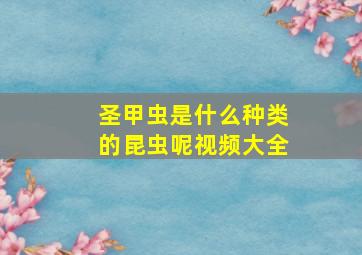 圣甲虫是什么种类的昆虫呢视频大全