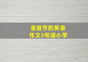 圣诞节的英语作文5句话小学