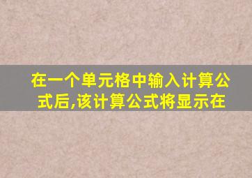 在一个单元格中输入计算公式后,该计算公式将显示在