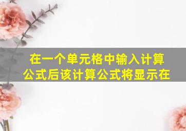 在一个单元格中输入计算公式后该计算公式将显示在