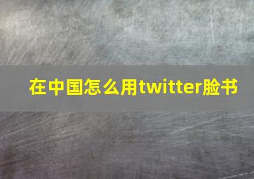 在中国怎么用twitter脸书