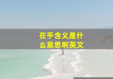 在乎含义是什么意思啊英文