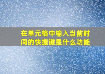 在单元格中输入当前时间的快捷键是什么功能