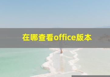 在哪查看office版本