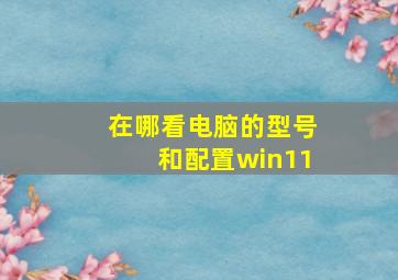 在哪看电脑的型号和配置win11