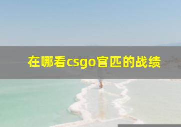 在哪看csgo官匹的战绩