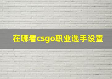 在哪看csgo职业选手设置