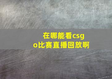 在哪能看csgo比赛直播回放啊