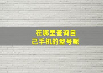 在哪里查询自己手机的型号呢