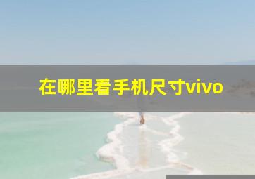 在哪里看手机尺寸vivo