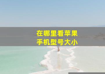 在哪里看苹果手机型号大小