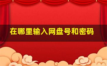 在哪里输入网盘号和密码