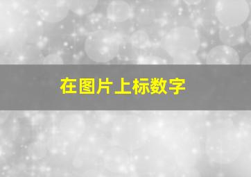 在图片上标数字