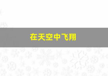 在天空中飞翔