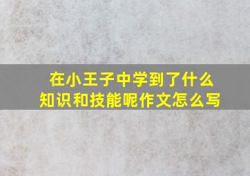 在小王子中学到了什么知识和技能呢作文怎么写