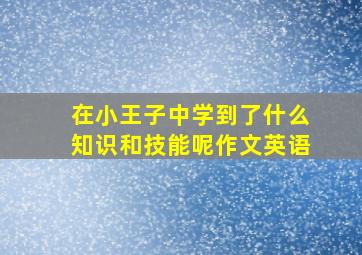 在小王子中学到了什么知识和技能呢作文英语