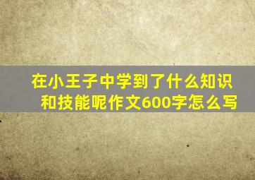 在小王子中学到了什么知识和技能呢作文600字怎么写