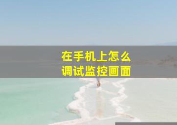 在手机上怎么调试监控画面