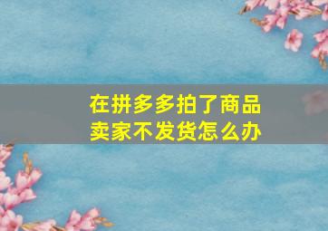 在拼多多拍了商品卖家不发货怎么办