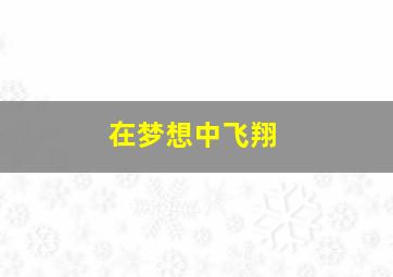 在梦想中飞翔