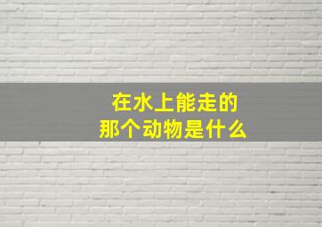 在水上能走的那个动物是什么