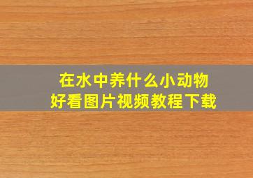 在水中养什么小动物好看图片视频教程下载