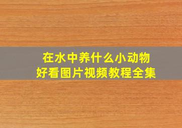 在水中养什么小动物好看图片视频教程全集