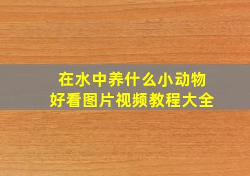 在水中养什么小动物好看图片视频教程大全