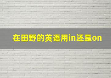 在田野的英语用in还是on