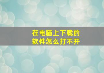 在电脑上下载的软件怎么打不开