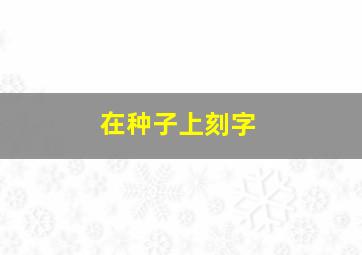 在种子上刻字