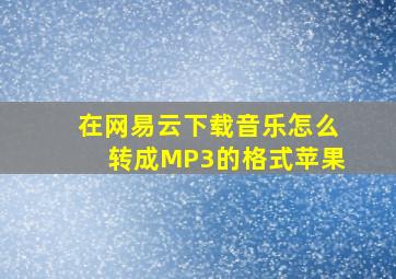 在网易云下载音乐怎么转成MP3的格式苹果