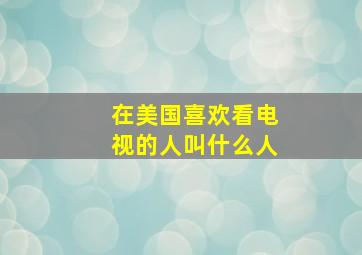 在美国喜欢看电视的人叫什么人