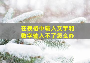 在表格中输入文字和数字输入不了怎么办