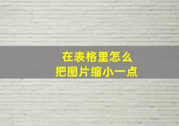 在表格里怎么把图片缩小一点