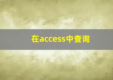 在access中查询