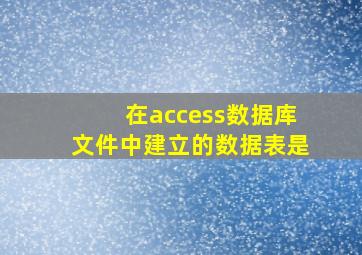 在access数据库文件中建立的数据表是