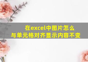 在excel中图片怎么与单元格对齐显示内容不变