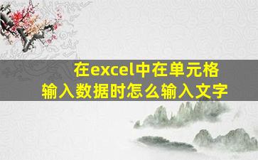 在excel中在单元格输入数据时怎么输入文字