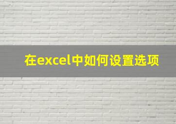 在excel中如何设置选项