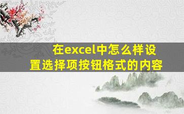 在excel中怎么样设置选择项按钮格式的内容