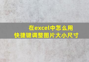 在excel中怎么用快捷键调整图片大小尺寸