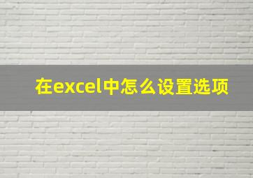 在excel中怎么设置选项