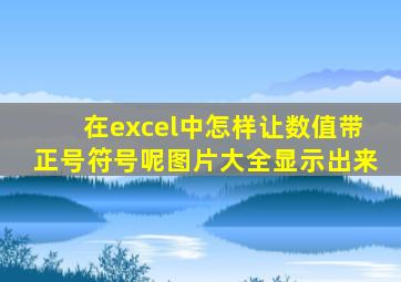 在excel中怎样让数值带正号符号呢图片大全显示出来