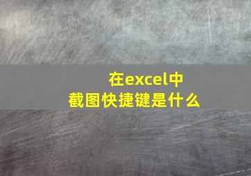 在excel中截图快捷键是什么